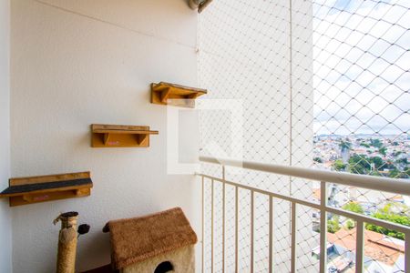 Varanda da sala de apartamento para alugar com 3 quartos, 61m² em Vila Alzira, Santo André