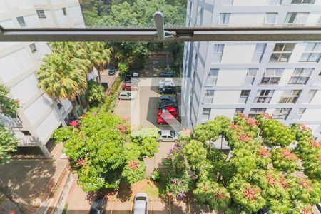 Vista Sala de apartamento para alugar com 3 quartos, 83m² em Jaguaré, São Paulo