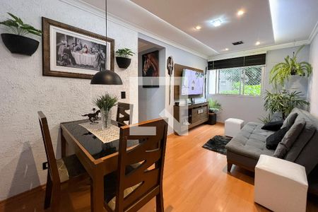 Sala de apartamento para alugar com 2 quartos, 50m² em Lapa de Baixo, São Paulo