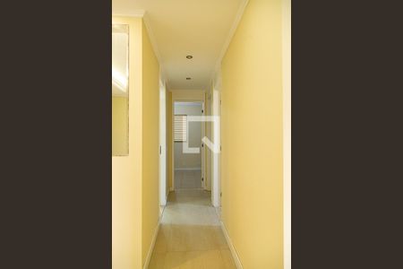 Sala - Corredor de apartamento à venda com 3 quartos, 62m² em Vila Santa Catarina, São Paulo
