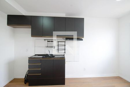Sala e cozinha  de apartamento para alugar com 1 quarto, 24m² em Vila Nova das Belezas, São Paulo