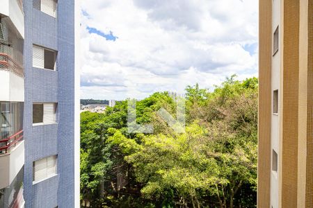 Vista da Varanda de apartamento à venda com 4 quartos, 160m² em Vila Monte Alegre, São Paulo