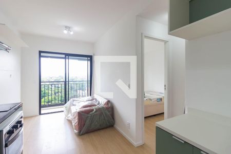 Sala e Cozinha de apartamento para alugar com 1 quarto, 32m² em Butantã, São Paulo