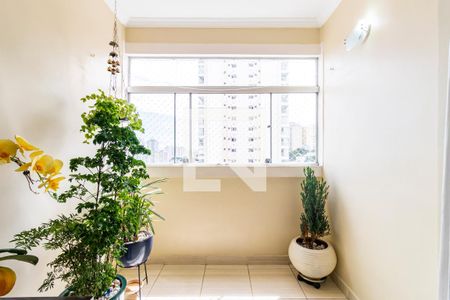 Sala de apartamento à venda com 2 quartos, 89m² em Cambuci, São Paulo