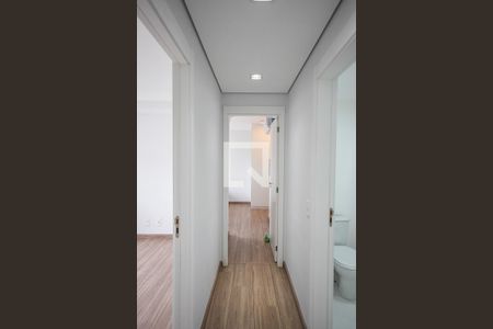 Corredor de apartamento para alugar com 2 quartos, 65m² em Morumbi, São Paulo