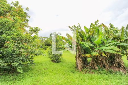 Casa à venda com 5400m², 4 quartos e 5 vagas Casa à venda com 5400m², 4 quartos e 5 vagasQuintal