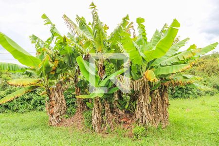 Casa à venda com 5400m², 4 quartos e 5 vagas Casa à venda com 5400m², 4 quartos e 5 vagasQuintal