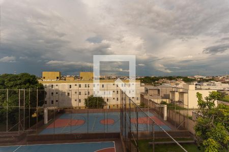 Vista do Quarto 1 de apartamento à venda com 2 quartos, 50m² em Jardim Londres, Campinas