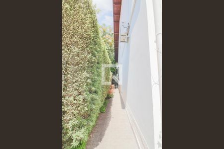 Casa à venda com 400m², 5 quartos e 4 vagas Casa à venda com 400m², 5 quartos e 4 vagasQuintal