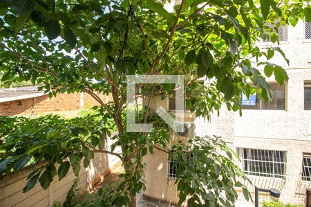 Vista do Quarto 1 de apartamento para alugar com 2 quartos, 44m² em Campo Grande, Rio de Janeiro