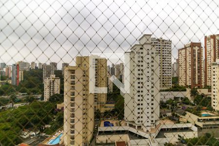 Vista da Varanda de apartamento para alugar com 1 quarto, 39m² em Super Quadra Morumbi, São Paulo