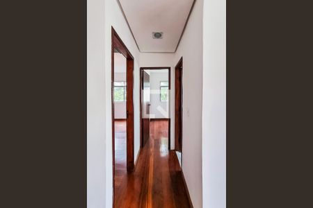 Corredor de apartamento para alugar com 2 quartos, 69m² em Santa Amélia, Belo Horizonte