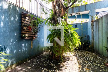 1o. Andar - Jardim de inverno de casa para alugar com 4 quartos, 260m² em Bosque da Saúde, São Paulo