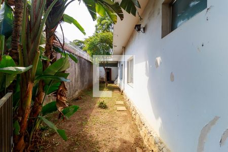 Casa para alugar com 900m², 4 quartos e 4 vagas Casa para alugar com 900m², 4 quartos e 4 vagasÁrea Externa