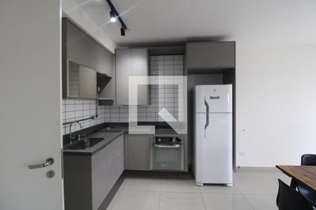Cozinha de apartamento para alugar com 1 quarto, 38m² em Vila Castelo, São Paulo