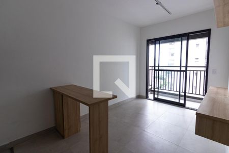 Sala de apartamento para alugar com 1 quarto, 29m² em Vila Santa Catarina, São Paulo