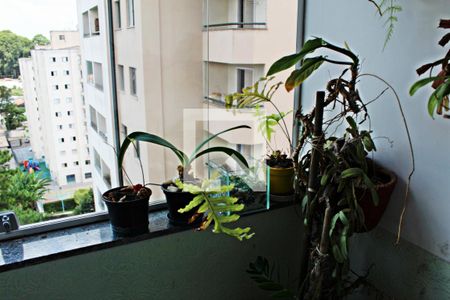 Varanda da Sala de apartamento à venda com 3 quartos, 100m² em Vila Curuçá, São Paulo
