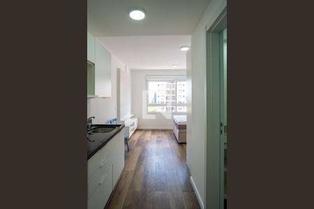 Cozinha de apartamento para alugar com 1 quarto, 29m² em Partenon, Porto Alegre