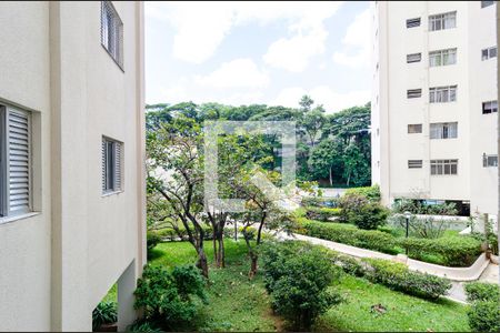 Vista do Quarto 1 de apartamento à venda com 3 quartos, 67m² em Vila Mascote, São Paulo