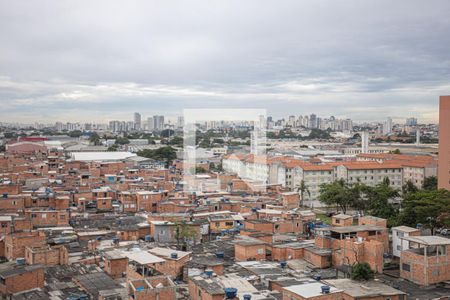 Vista de apartamento para alugar com 2 quartos, 67m² em Piratininga, Osasco