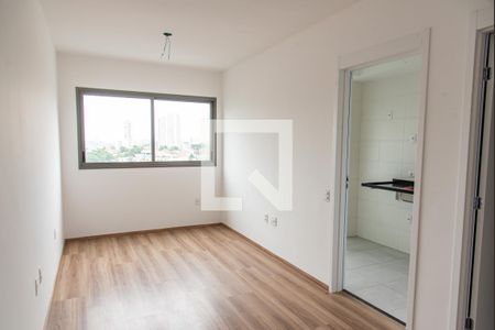 Sala/quarto de kitnet/studio para alugar com 1 quarto, 27m² em Vila Dom Pedro I, São Paulo