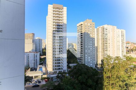 Vista da Varanda de apartamento para alugar com 2 quartos, 66m² em Vila Andrade, São Paulo