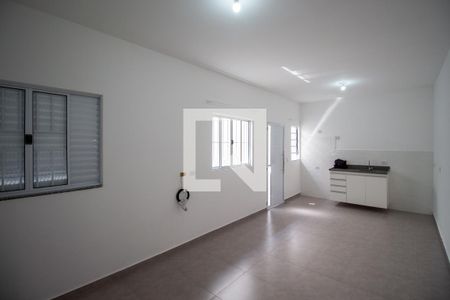 Sala / Quarto de apartamento para alugar com 1 quarto, 26m² em Parque Paulistano, São Paulo