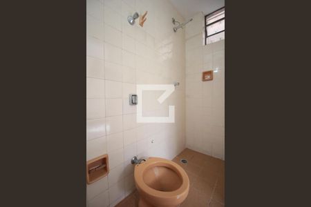 Banheiro da Suite de apartamento à venda com 3 quartos, 115m² em Planalto, Belo Horizonte