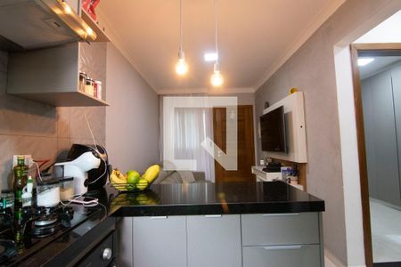 Cozinha  de apartamento para alugar com 2 quartos, 40m² em Cidade Patriarca, São Paulo