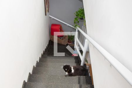 Escadas de casa para alugar com 2 quartos, 135m² em Vila Santa Rosa, Guarujá