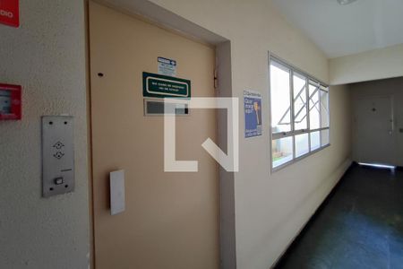 PLACA INSTALADA NO HALL DE ENTRADA de apartamento para alugar com 1 quarto, 63m² em Cambuí, Campinas