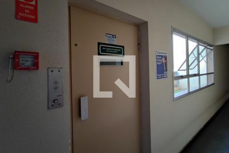 PLACA INSTALADA NO HALL DE ENTRADA de apartamento para alugar com 1 quarto, 63m² em Cambuí, Campinas