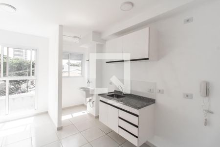 Cozinha de apartamento para alugar com 1 quarto, 30m² em Vila Guilhermina, São Paulo