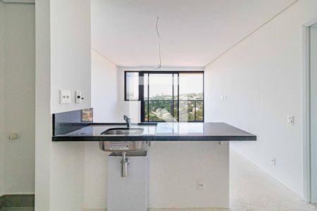 Cozinha de apartamento para alugar com 1 quarto, 57m² em Pinheiros, São Paulo