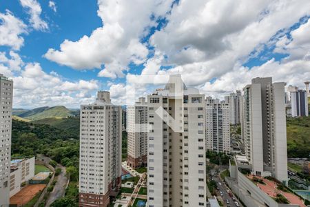 Varanda da Sala de apartamento para alugar com 3 quartos, 92m² em Vila da Serra, Nova Lima