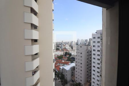 Janela Sala de Jantar de apartamento à venda com 4 quartos, 240m² em Jardim São Paulo(zona Norte), São Paulo