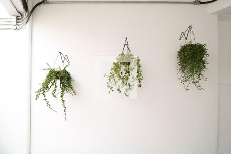 Studio para alugar com 20m², 1 quarto e sem vaga Studio para alugar com 20m², 1 quarto e sem vagaQuintal