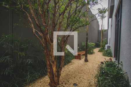 Área Verde de kitnet/studio para alugar com 1 quarto, 25m² em Mirandópolis, São Paulo