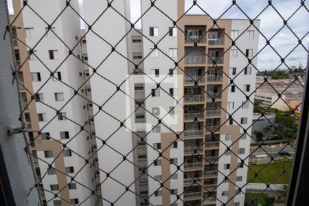 Vista Quarto 1 de apartamento para alugar com 2 quartos, 58m² em Vila Sonia do Taboao, Taboão da Serra