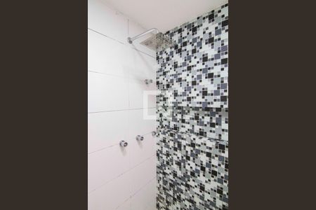 Banheiro da Suíte de apartamento para alugar com 2 quartos, 54m² em Chácara Cruzeiro do Sul, São Paulo