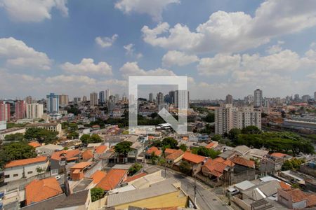Vista Cozinha e Área de Serviço Integrada  de apartamento para alugar com 1 quarto, 42m² em Vila Guilhermina, São Paulo
