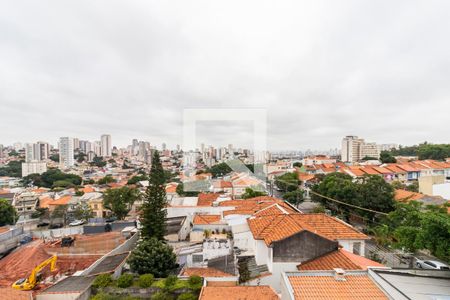 Vista de kitnet/studio para alugar com 1 quarto, 29m² em Vila São José, São Paulo