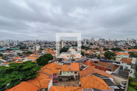 Vista Studio de kitnet/studio para alugar com 1 quarto, 27m² em Vila São José, São Paulo