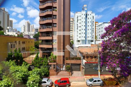 Vista da Sala de apartamento à venda com 4 quartos, 150m² em Santo Antônio, Belo Horizonte
