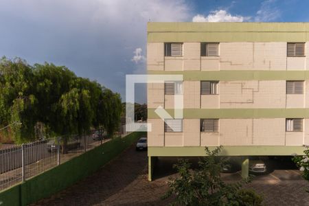 Vista do Quarto 1 de apartamento à venda com 2 quartos, 56m² em Jardim Paulicéia, Campinas