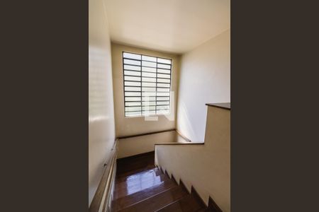 Corredor de casa para alugar com 4 quartos, 300m² em Bela Aliança, São Paulo