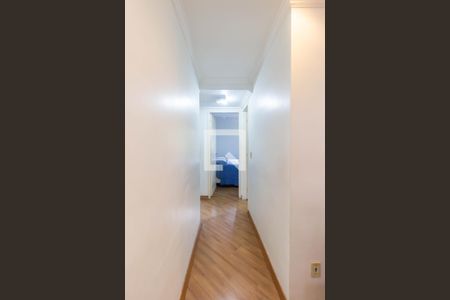 Corredor de apartamento à venda com 3 quartos, 64m² em Jardim Jaqueline, São Paulo