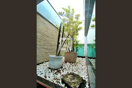 Jardim de Inverno de casa à venda com 3 quartos, 300m² em Vila Curuca, Santo André
