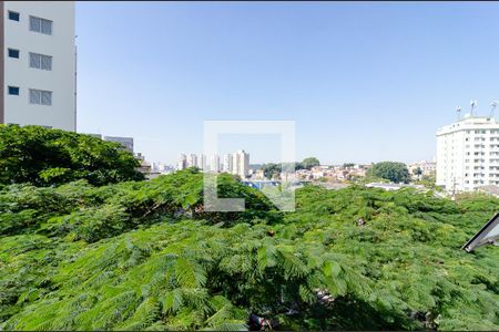 Vista da Varanda de apartamento para alugar com 2 quartos, 50m² em Vila Guarani (z Sul), São Paulo