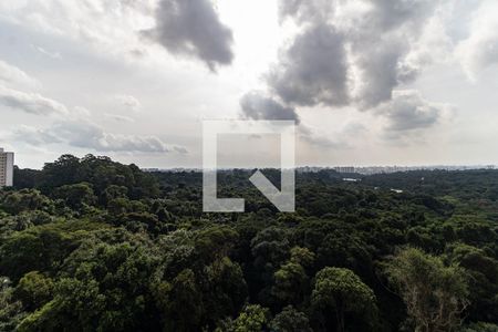 Vista da Varanda da Sala de apartamento para alugar com 2 quartos, 54m² em Vila Moraes, São Paulo